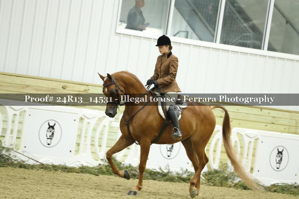 Proof 24R13_14531