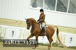 24R13_14531 proof