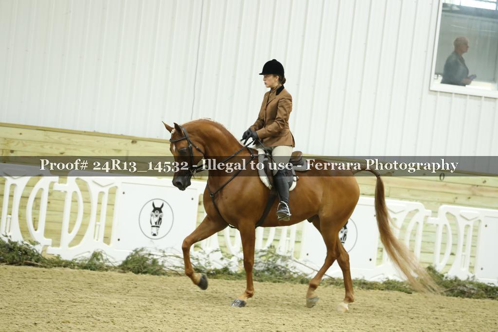 Proof 24R13_14532