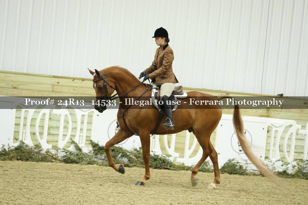 Proof 24R13_14533