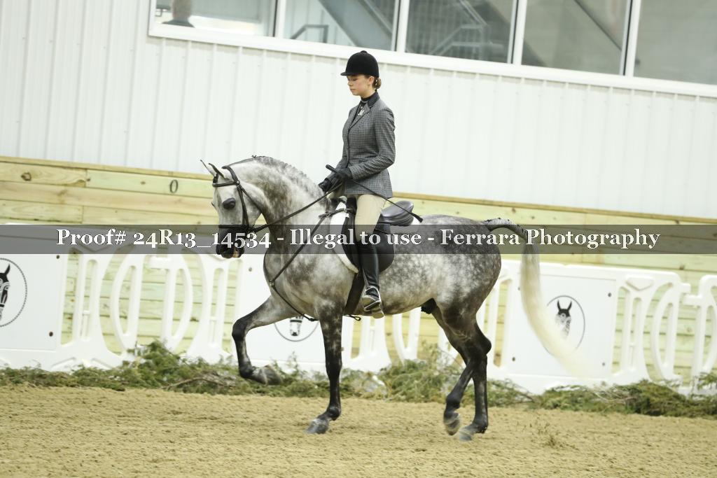 Proof 24R13_14534