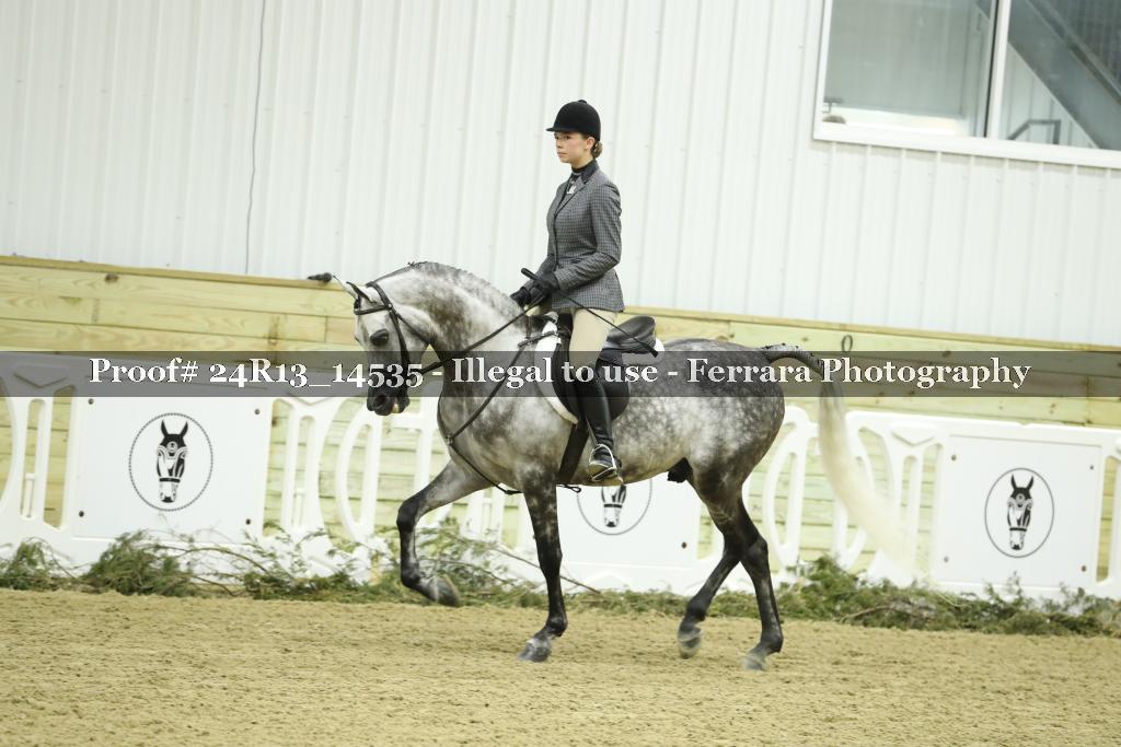 Proof 24R13_14535