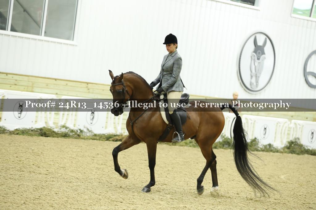 Proof 24R13_14536