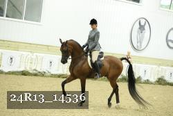 24R13_14536 proof