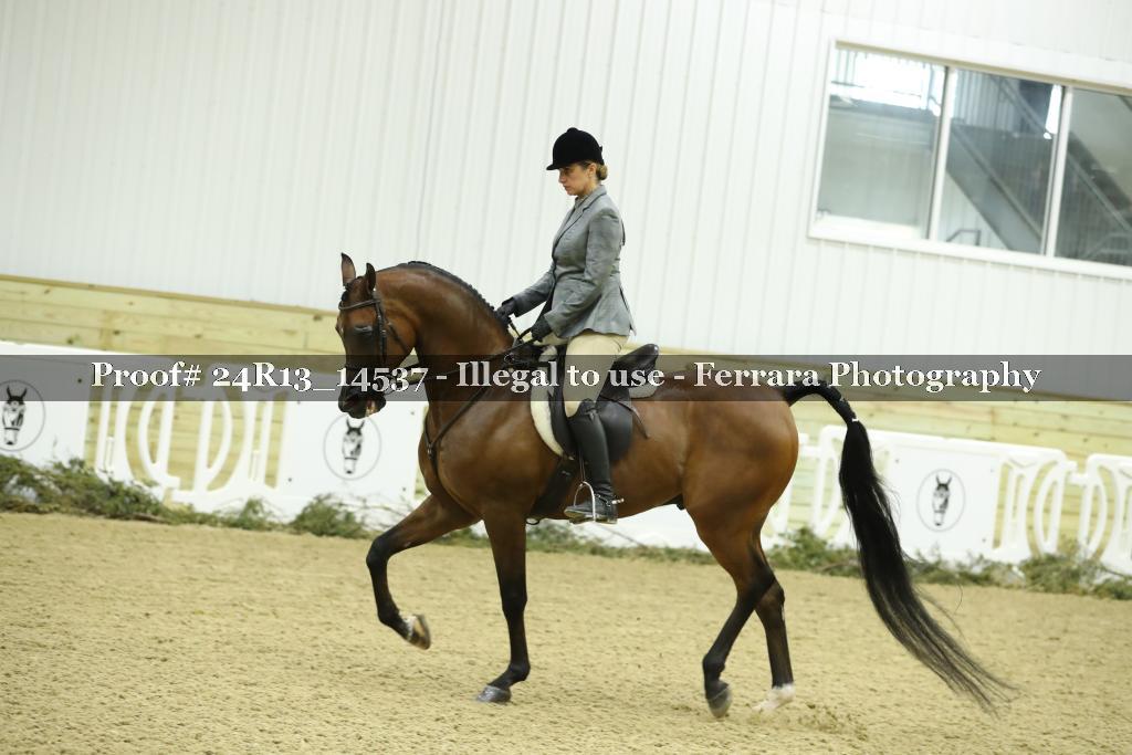 Proof 24R13_14537