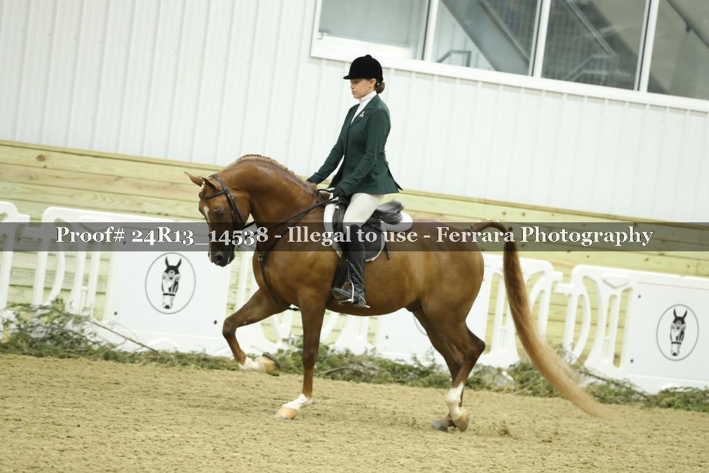 Proof 24R13_14538