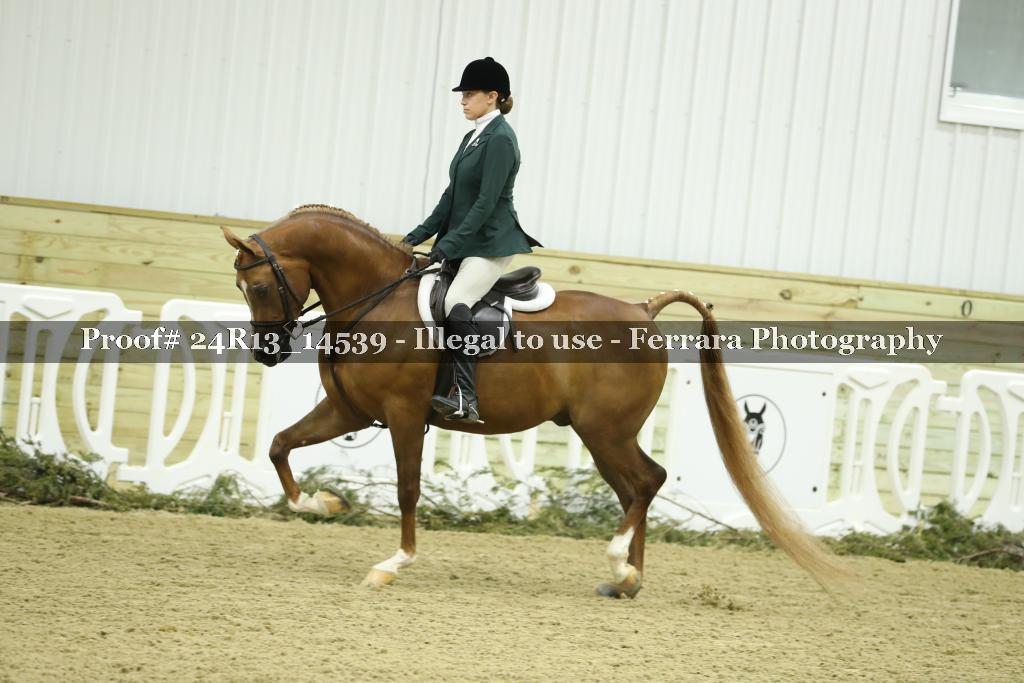 Proof 24R13_14539