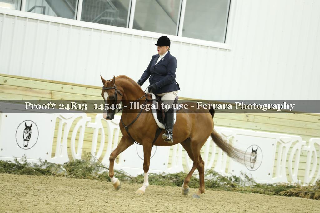 Proof 24R13_14540