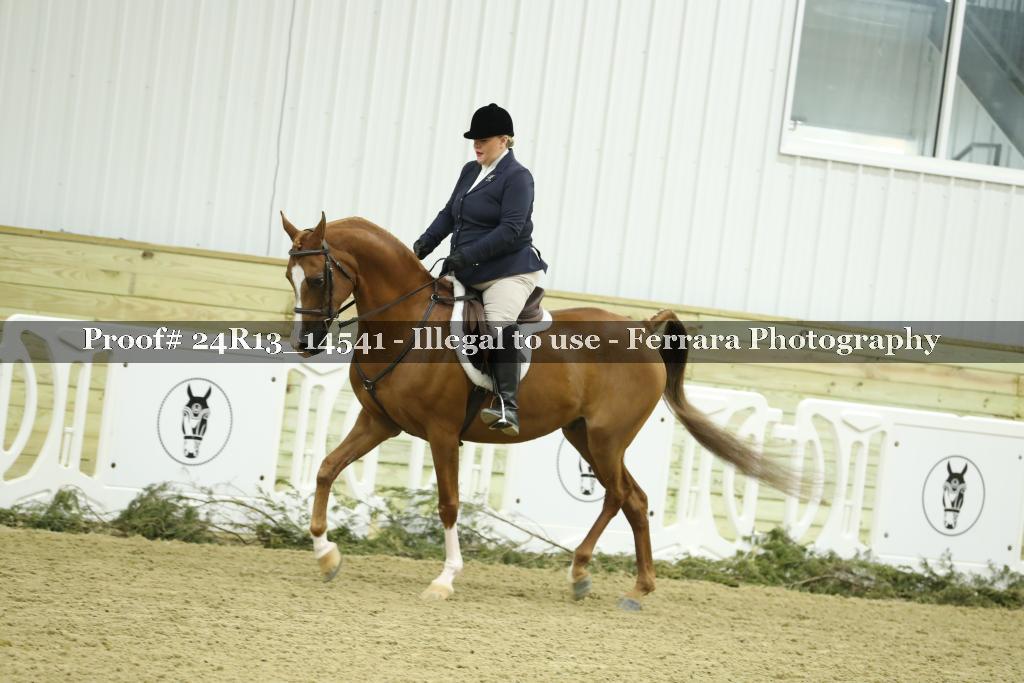Proof 24R13_14541