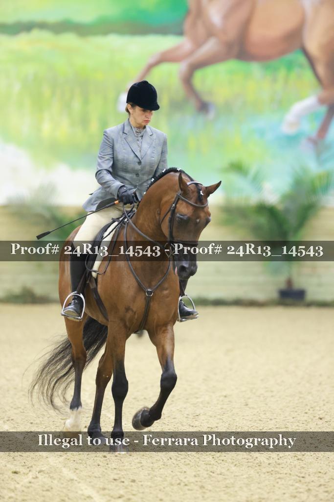 Proof 24R13_14543