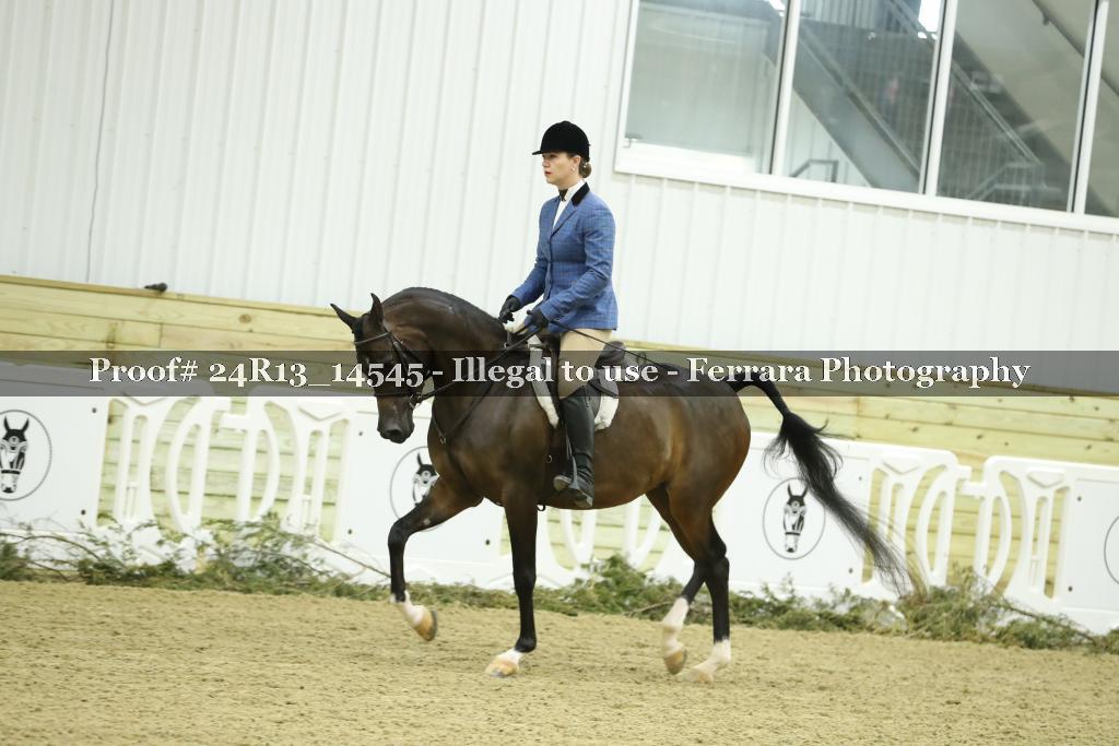 Proof 24R13_14545