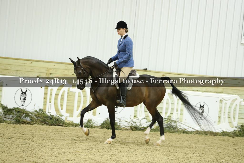 Proof 24R13_14546