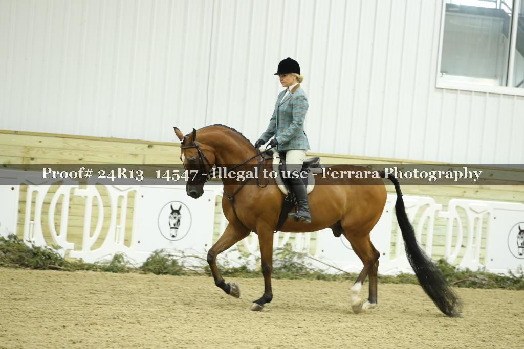 Proof 24R13_14547