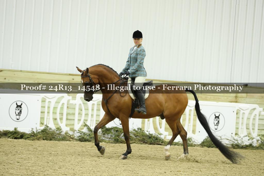 Proof 24R13_14548