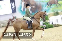 24R13_14550 proof