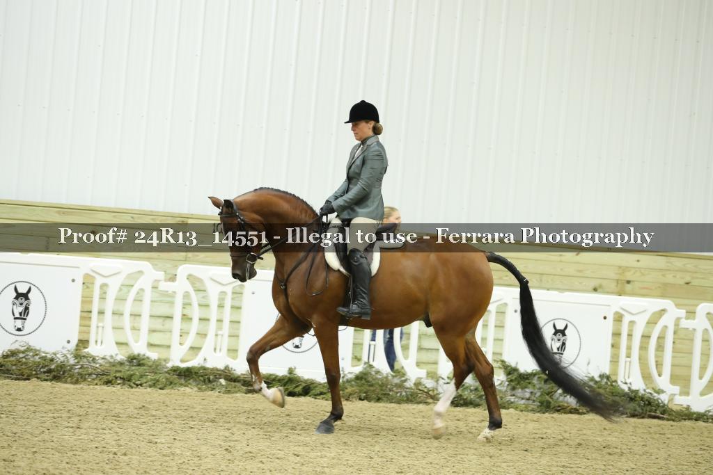 Proof 24R13_14551