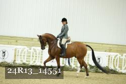 24R13_14551 proof