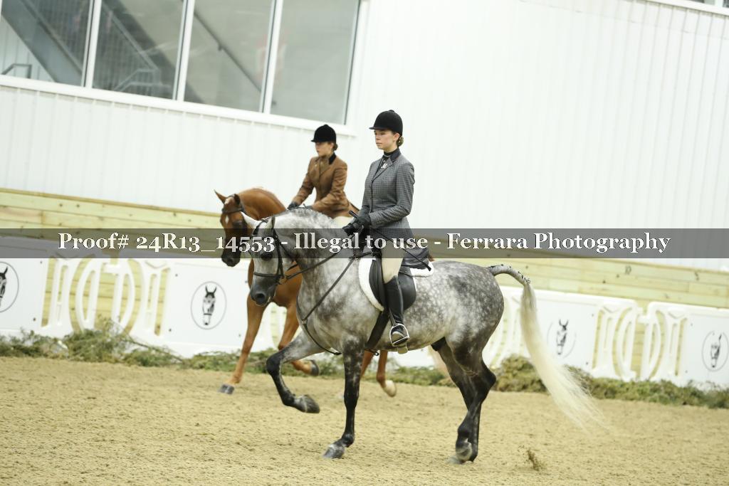 Proof 24R13_14553