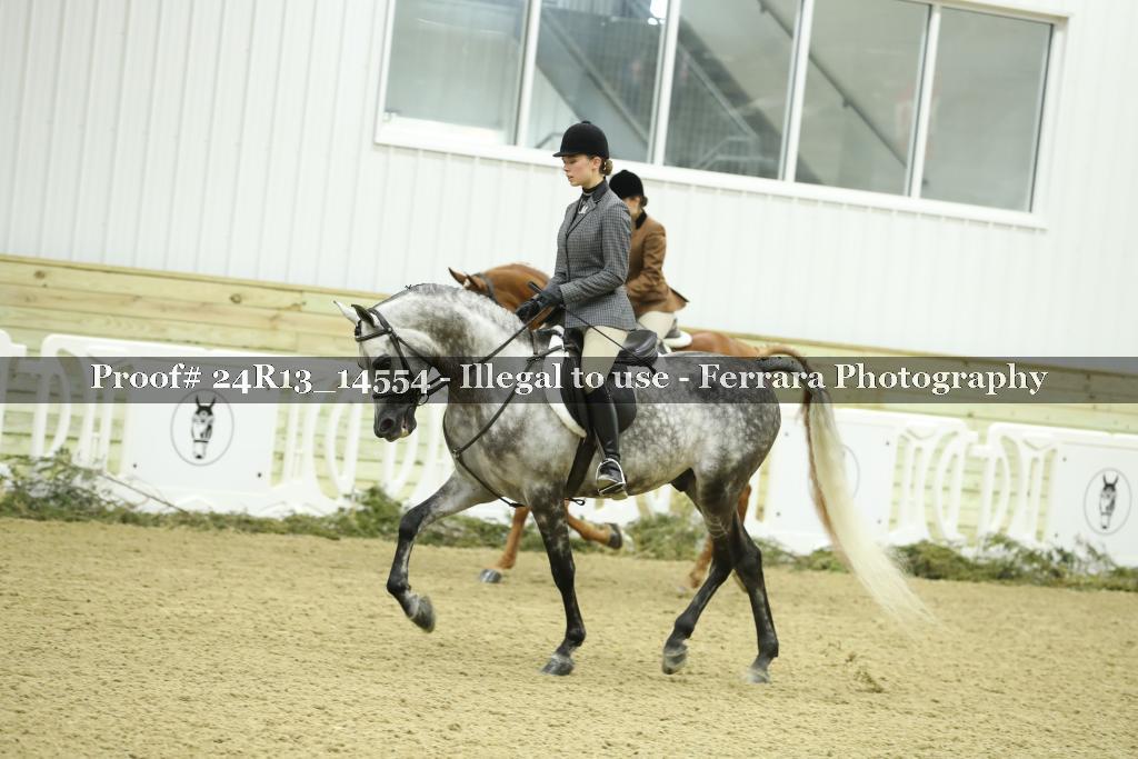 Proof 24R13_14554