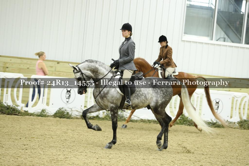 Proof 24R13_14555