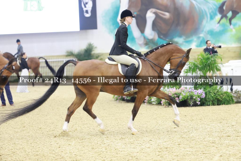 Proof 24R13_14556