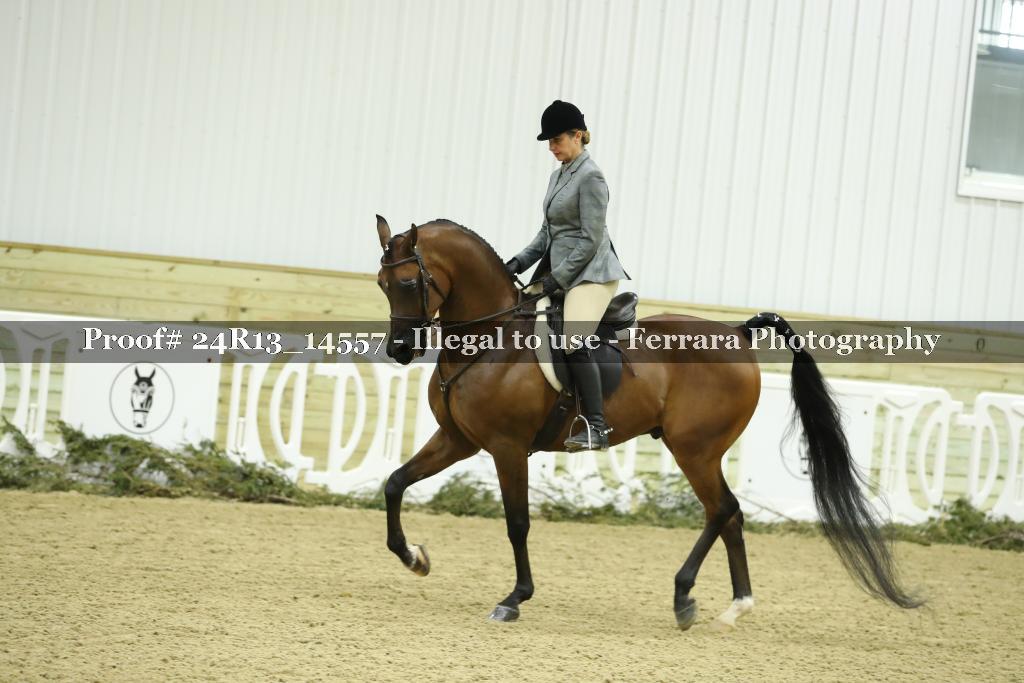 Proof 24R13_14557