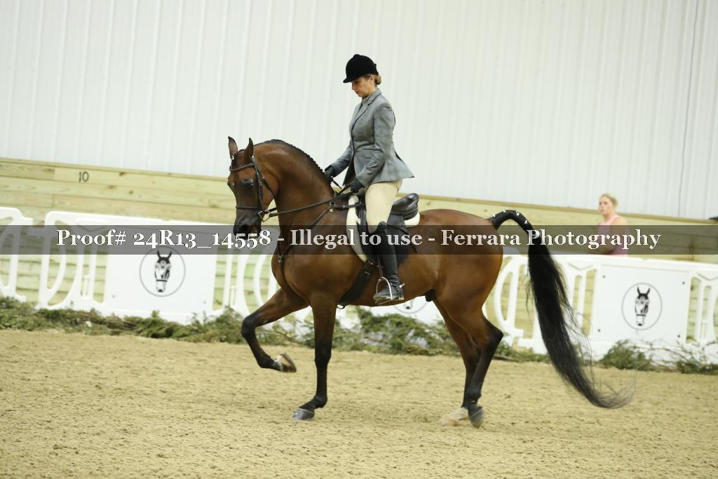 Proof 24R13_14558