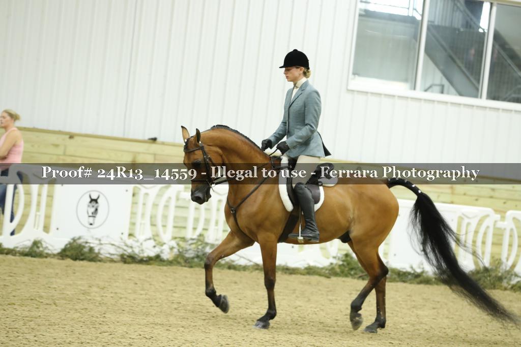 Proof 24R13_14559