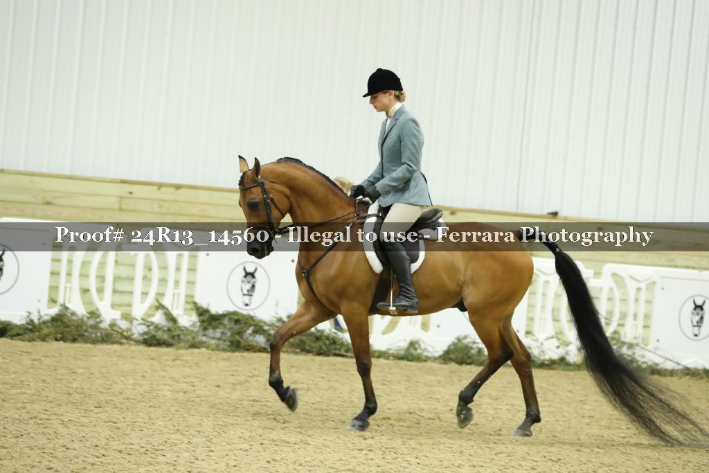Proof 24R13_14560