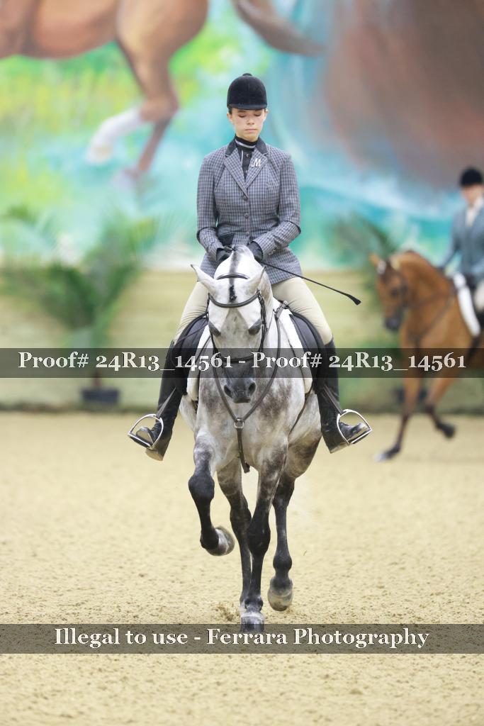 Proof 24R13_14561