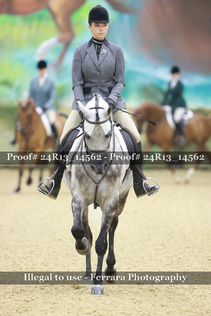 Proof 24R13_14562
