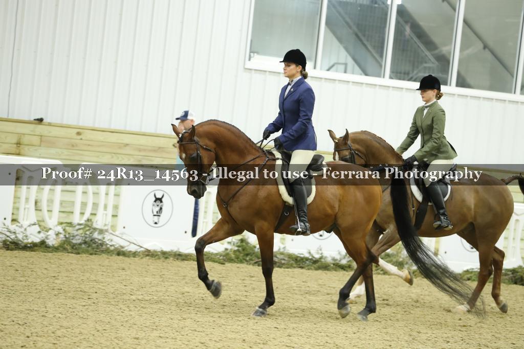 Proof 24R13_14563