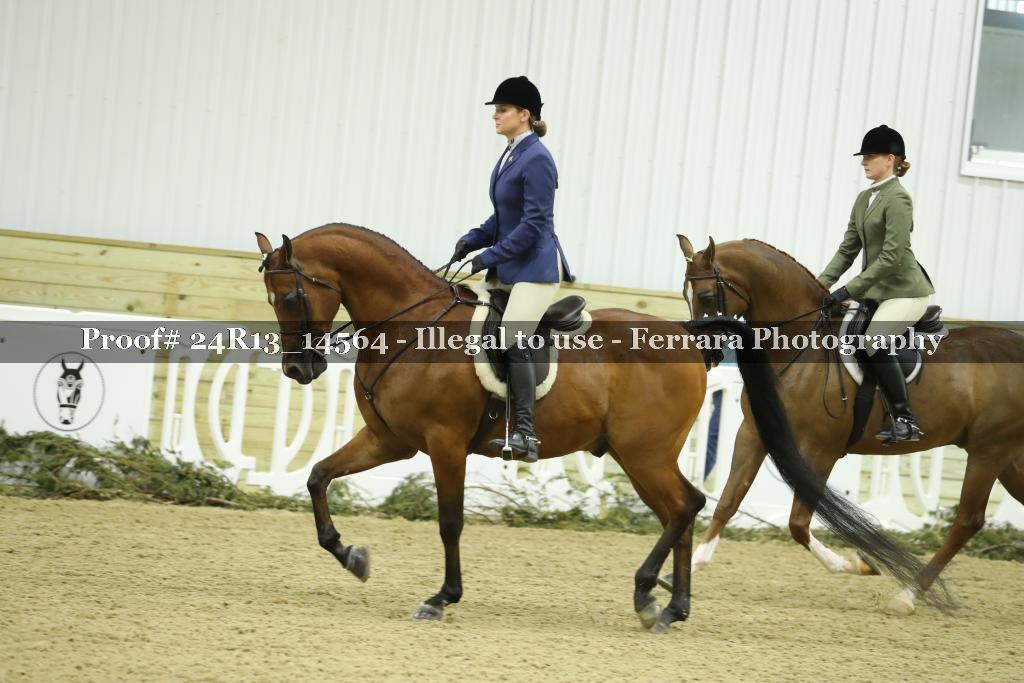 Proof 24R13_14564
