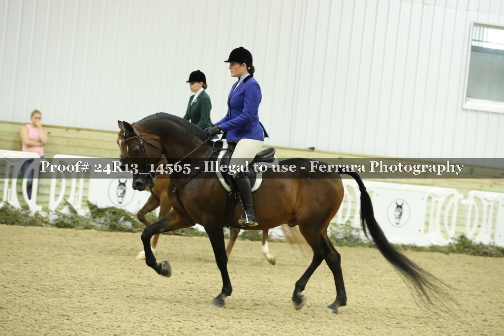 Proof 24R13_14565