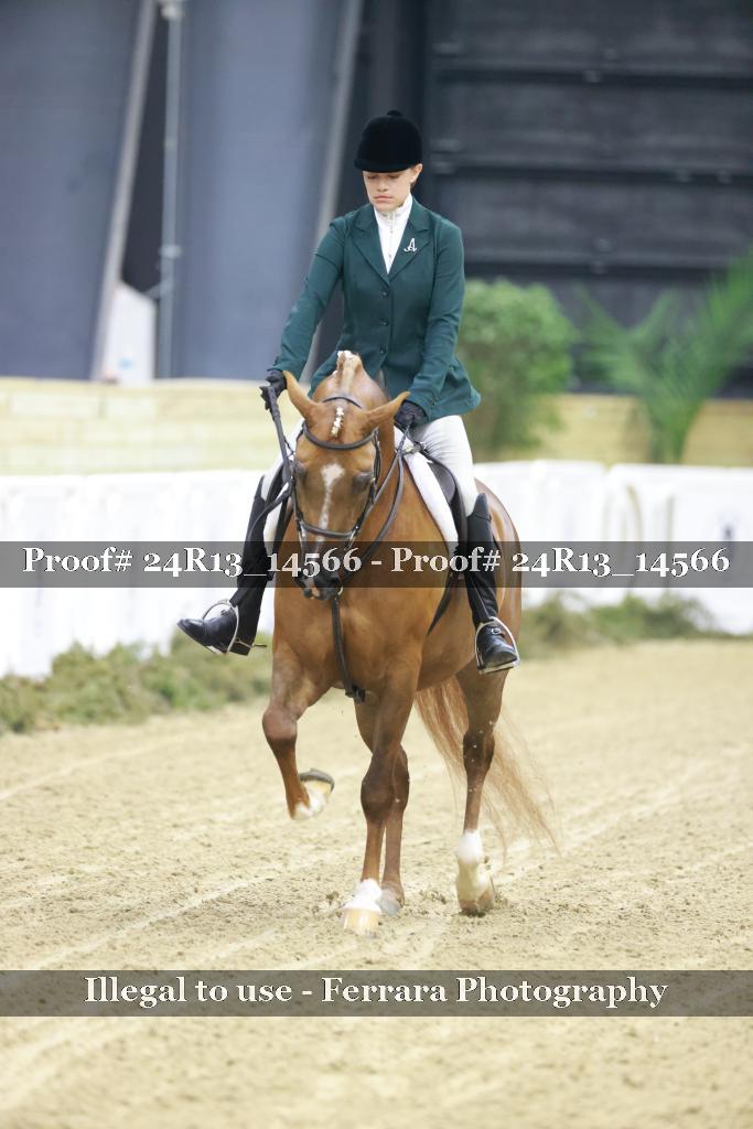 Proof 24R13_14566