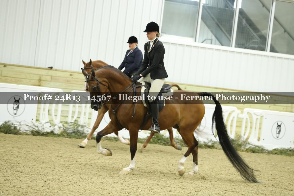Proof 24R13_14567