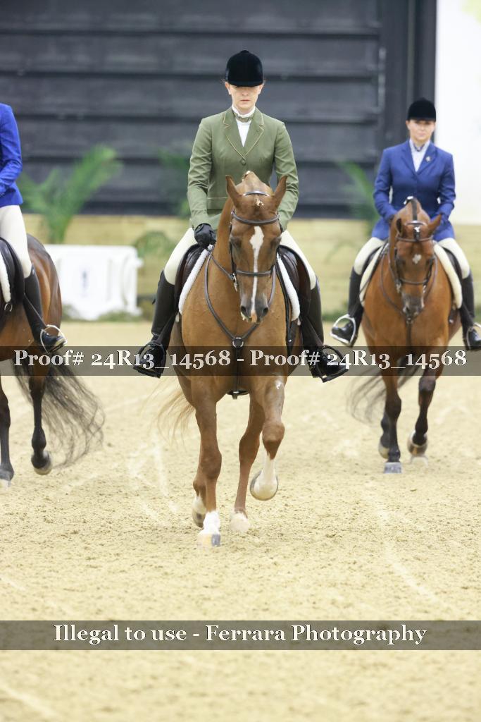 Proof 24R13_14568