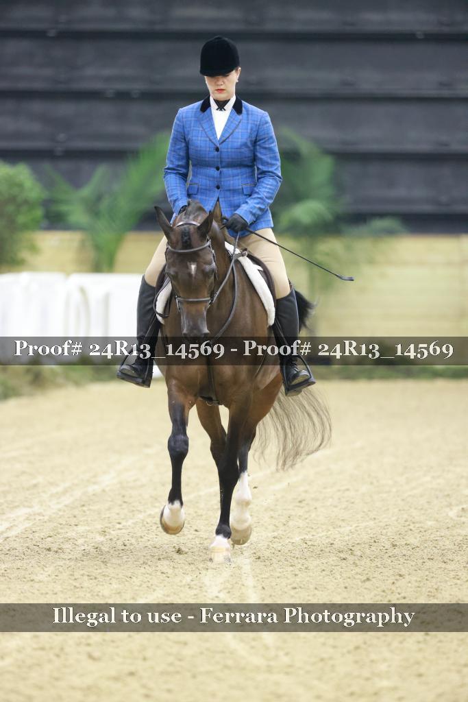 Proof 24R13_14569