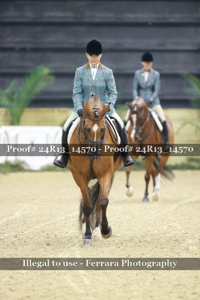 Proof 24R13_14570