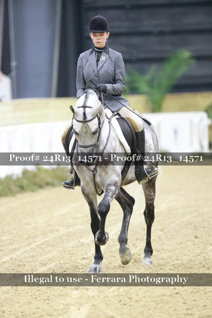 Proof 24R13_14571