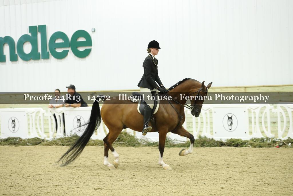 Proof 24R13_14572