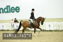 24R13_14572 proof