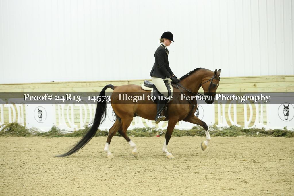 Proof 24R13_14573