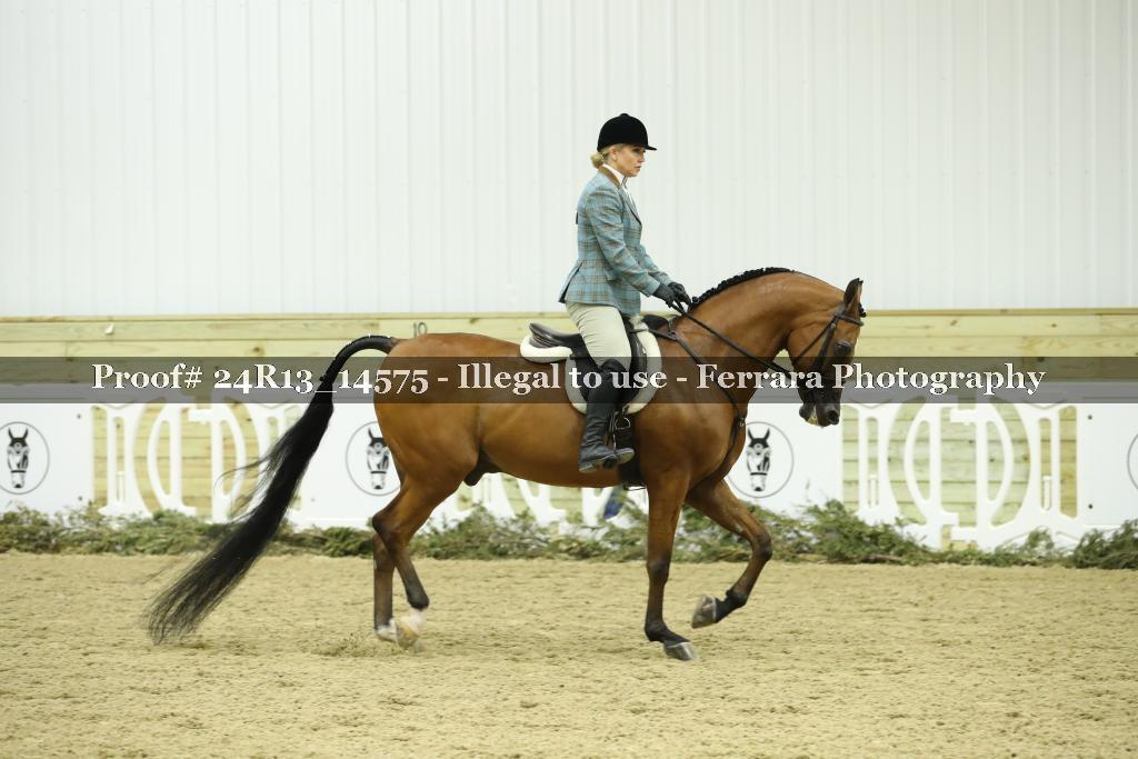 Proof 24R13_14575