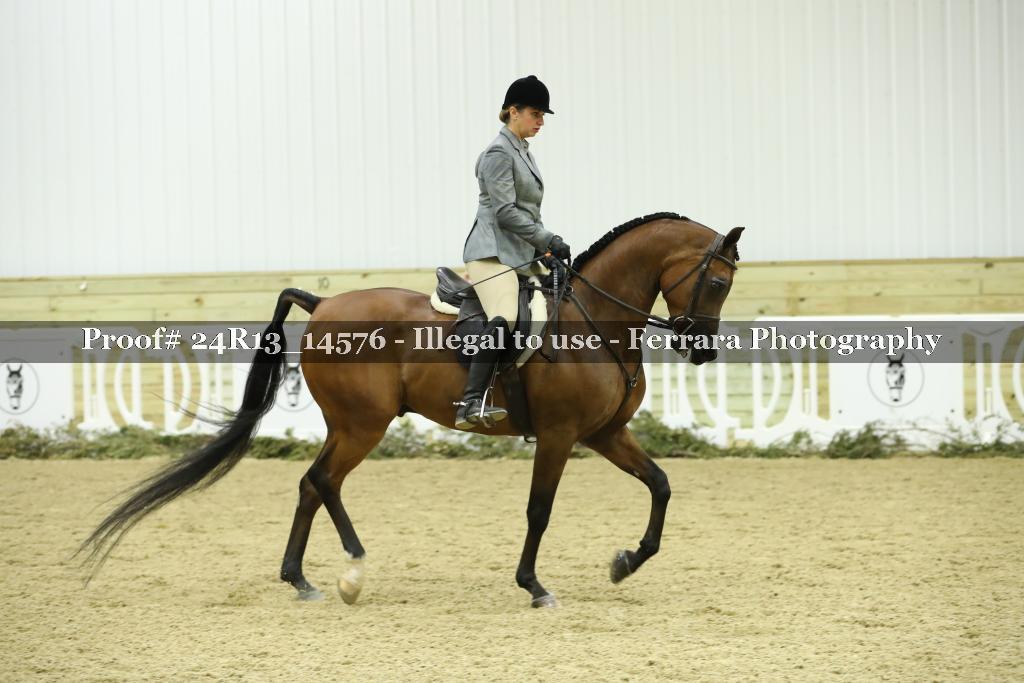 Proof 24R13_14576