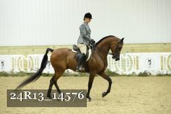 24R13_14576 proof
