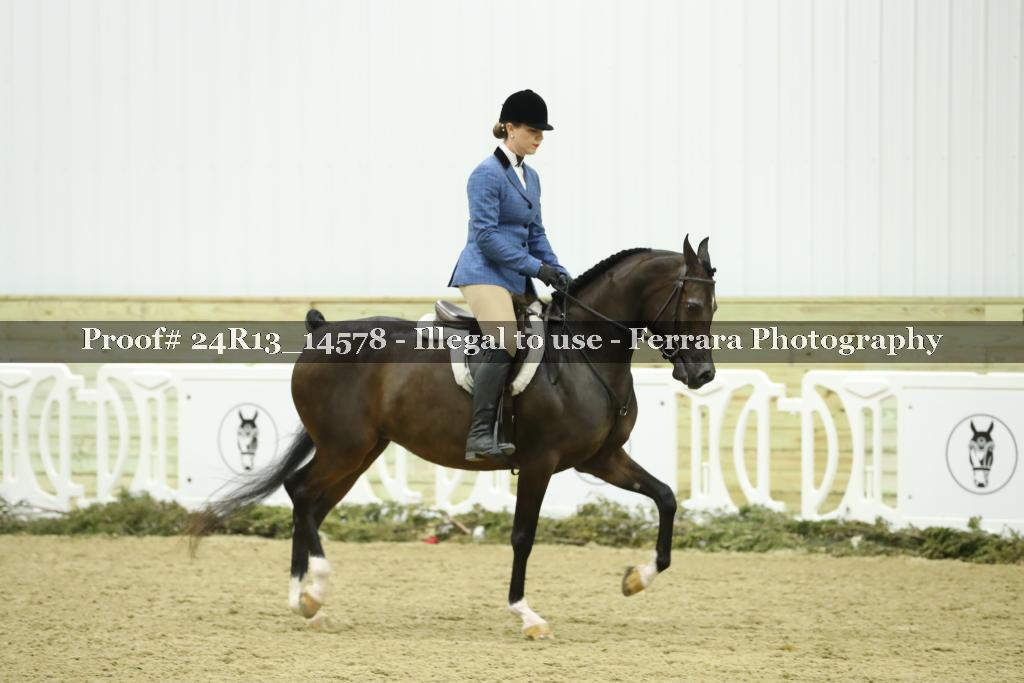 Proof 24R13_14578