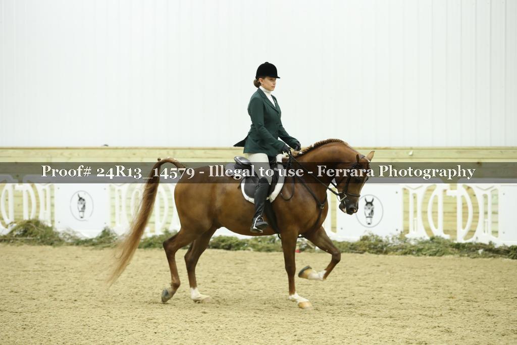 Proof 24R13_14579