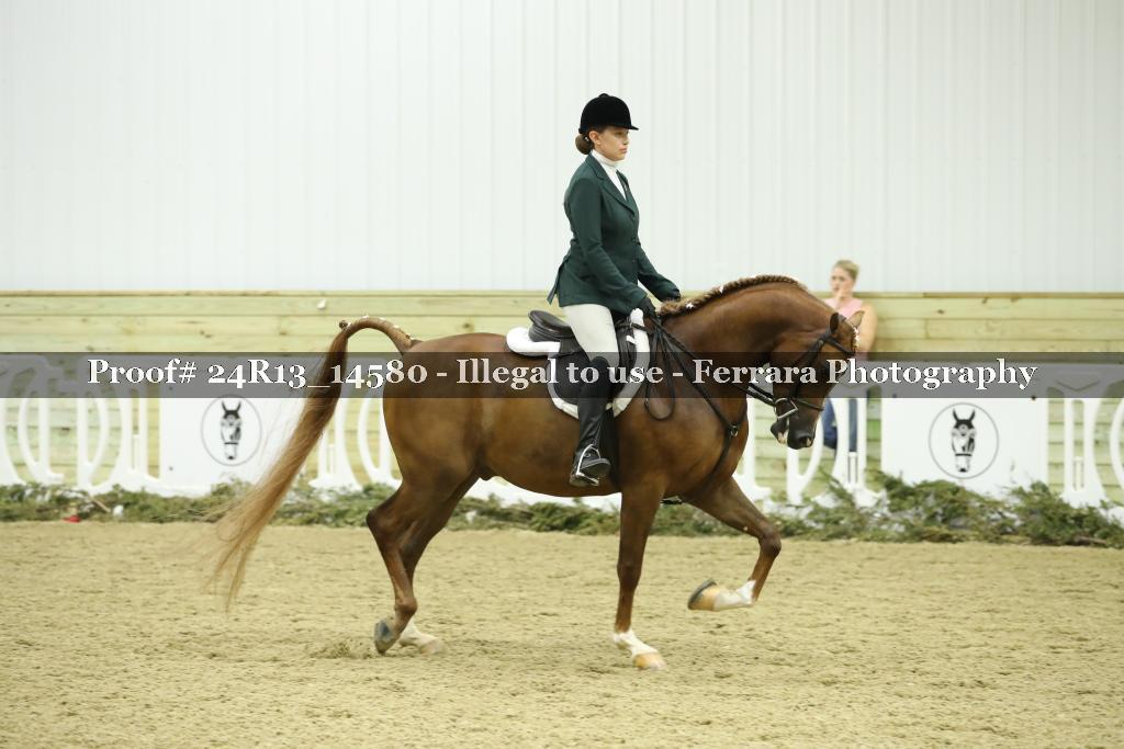 Proof 24R13_14580