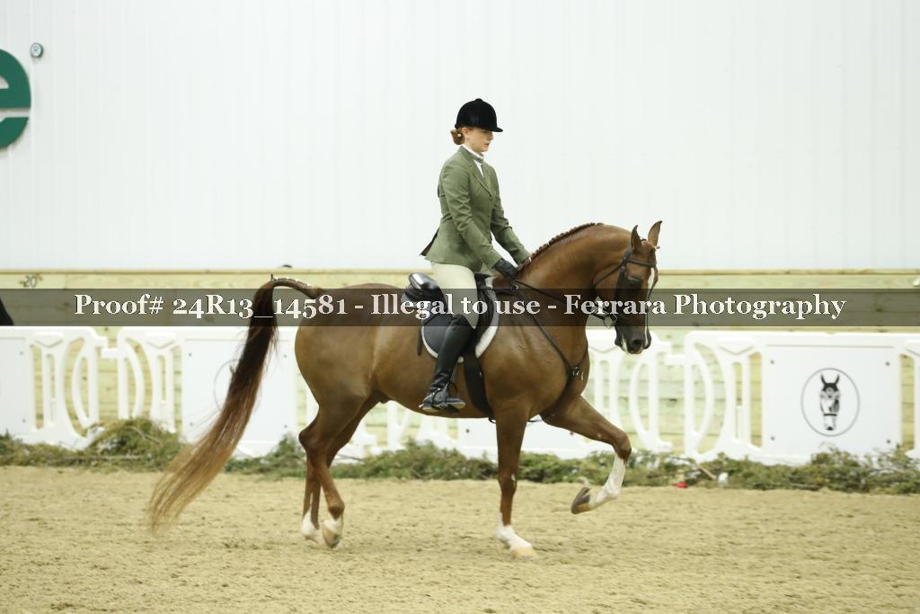 Proof 24R13_14581